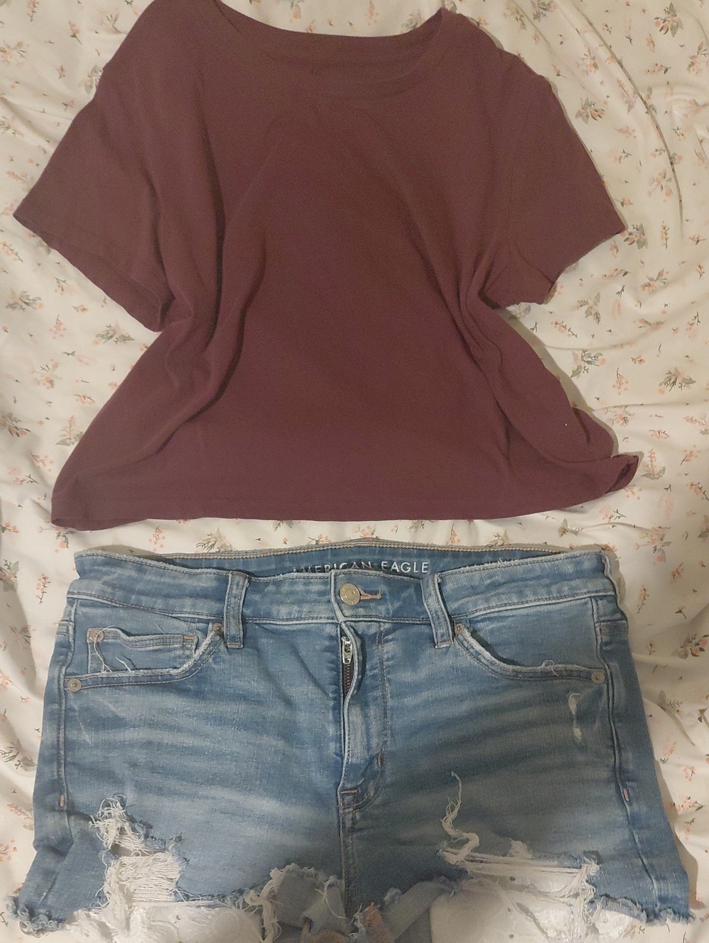 Universal Thread Burgundy Short Sleeve Crop Top